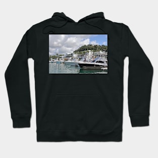 The Harbour at Quepos Hoodie